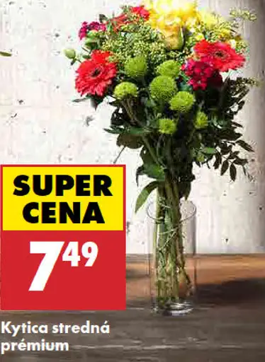 Kytica stredná premium