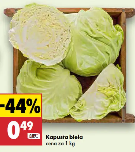 Kapusta biela