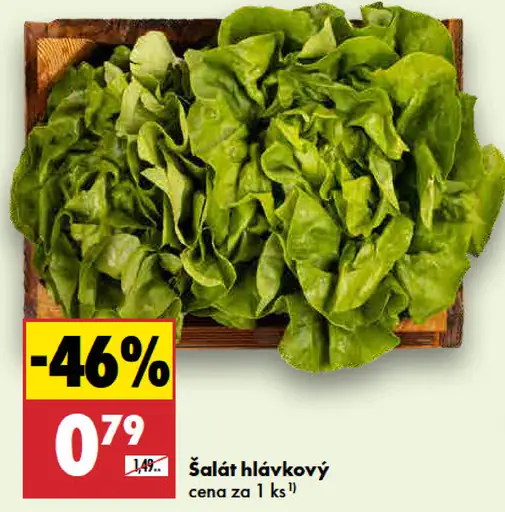 Šalát hlávkový