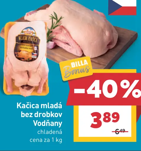 Kačica mladá bez drobkovi