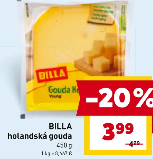 Gouda Holandská