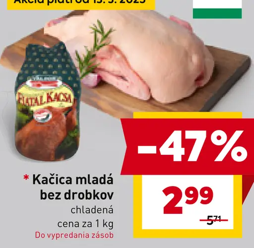 Kačica mladá