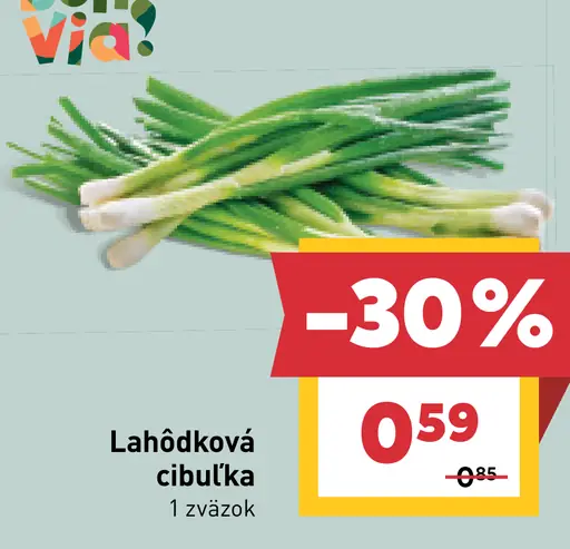 Bon Via lahôdková cibuľka