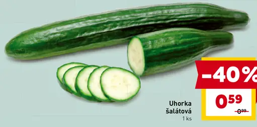 Uhorka šalátová