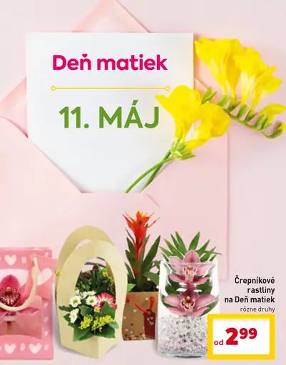 Črepníkové rastliny na Deň matiek
