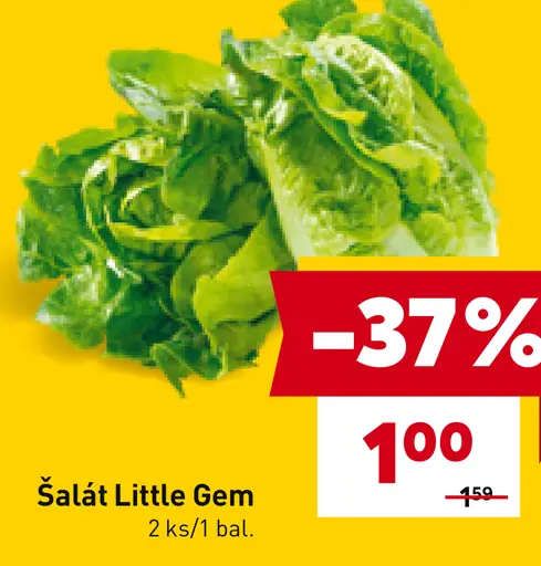 Šalát Little Gem