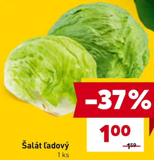 Šalát ľadový
