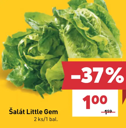 Šalát Little Gem