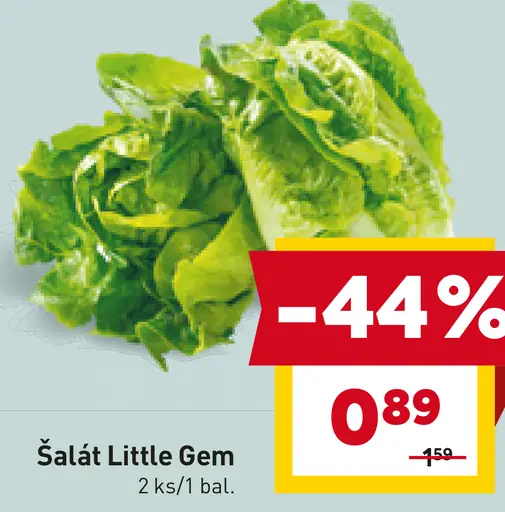 Šalát Little Gem