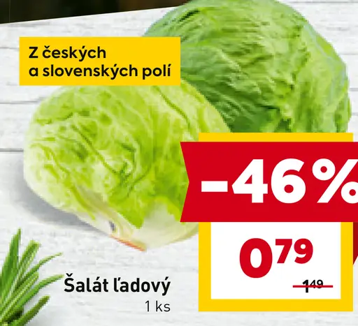 Šalát ľadový
