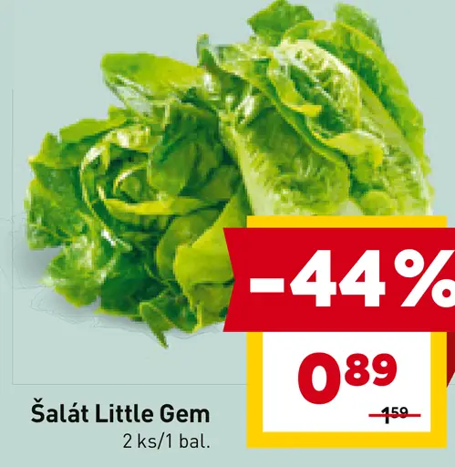 Šalát Little Gem