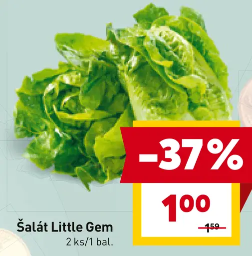 Šalát Little Gem