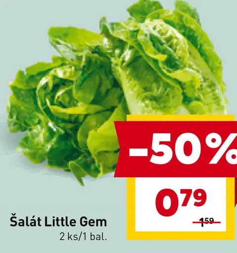 Šalát Little Gem