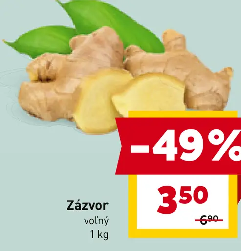 Zázvor