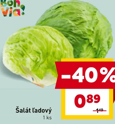 Bon Via šalát ľadový