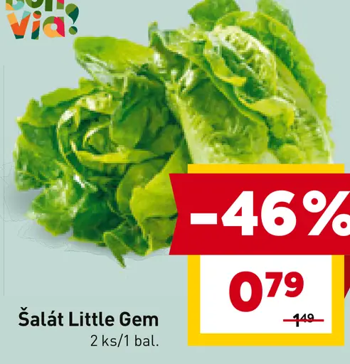 Šalát Little Gem