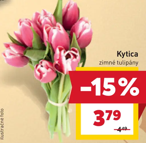 Kytica Zimné tulipány