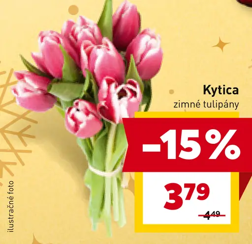 Kytica Zimné tulipány