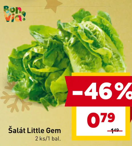 Šalát Little Gem