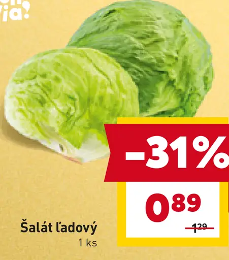 Bon Via šalát ľadový