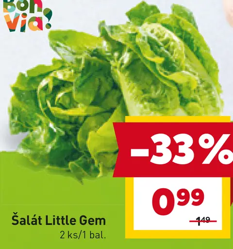 Šalát Little Gem