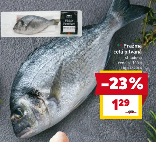 Pražma celá pitvaná chladená