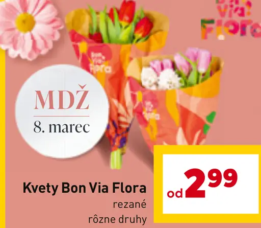 Kvety Bon Via Flora rezané aj črepníkové rôzne druhy