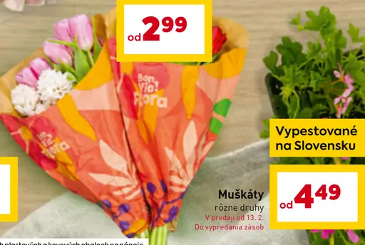 Kytice Bon Via Flora rôzne druhy