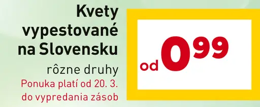 Kvety vypestované na Slovensku