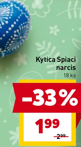 Kytica Spiaci narcis