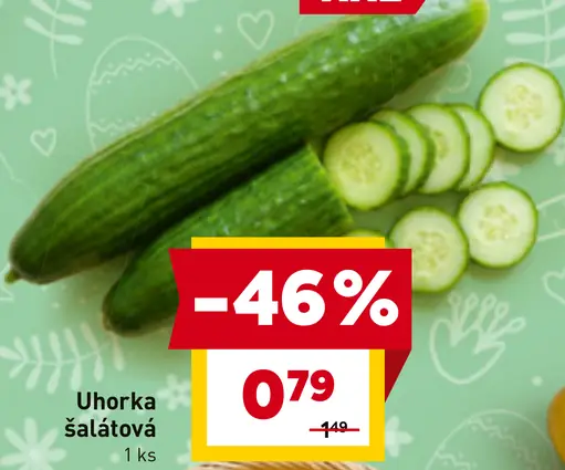 Uhorka šalátová