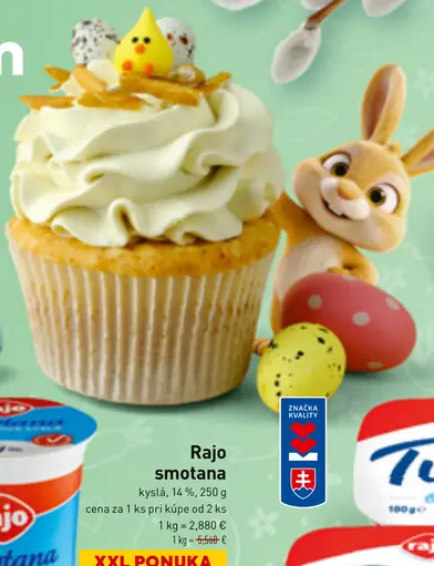 Rajo smotana kyslá 14%