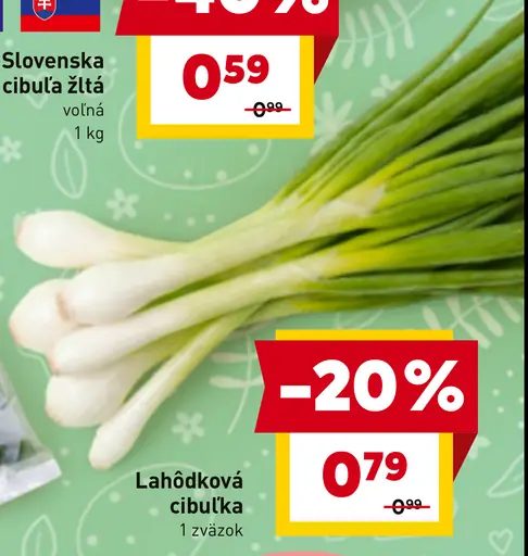 Lahôdková cibuľka zväzok