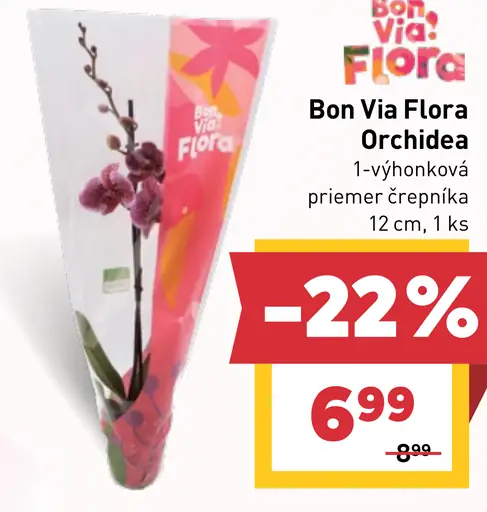 Bon Via Flora orchidea 1-výhonková