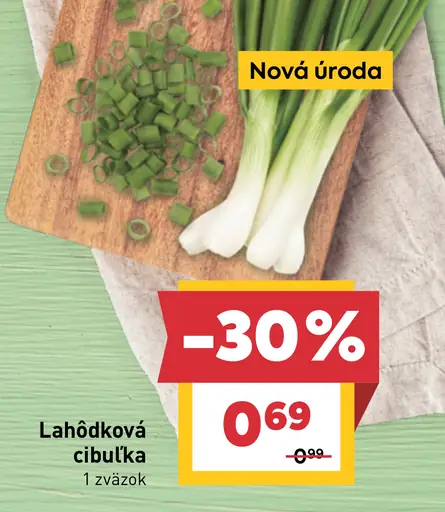 Lahôdková cibuľka zväzok