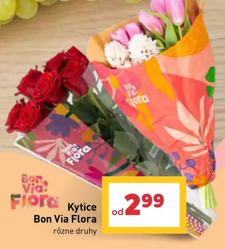 Kytice Bon Via Flora rôzne druhy