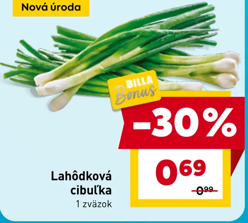 Lahôdková cibuľka