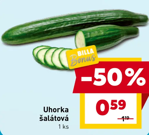 Uhorka šalátová