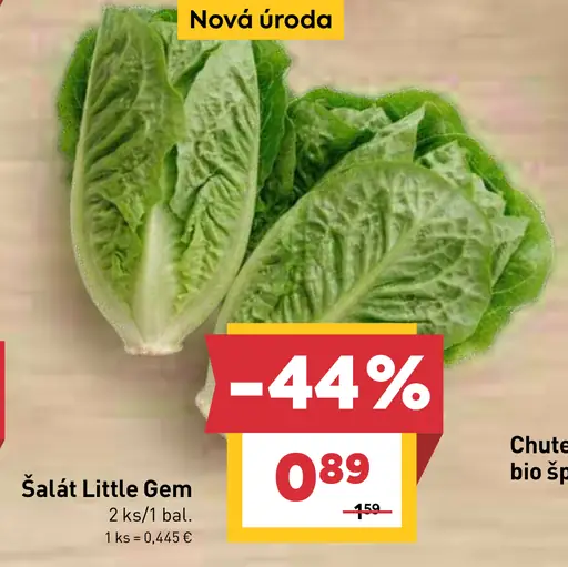 Šalát Little Gem