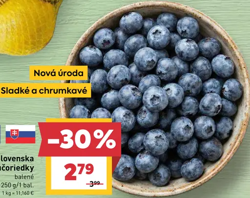 Chute Slovenska čučoriedky balené