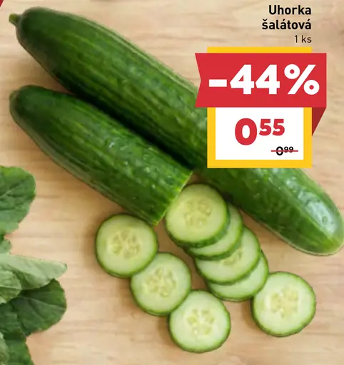Uhorka šalátová