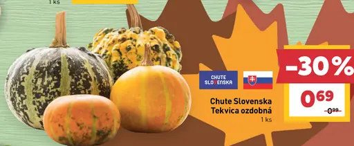 Chute Slovenska tekvica ozdobná