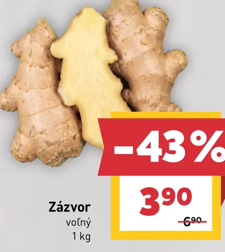 Zázvor
