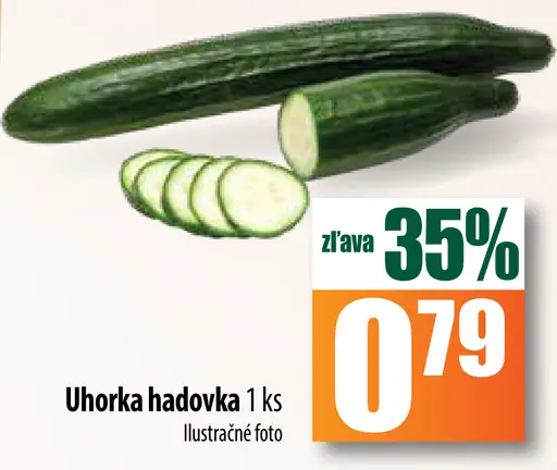 Uhorka hadovka