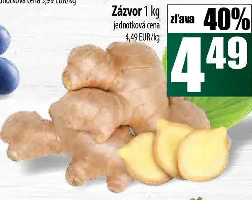 Zázvor