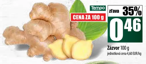 Zázvor