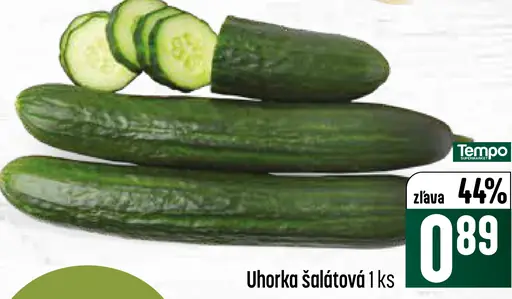 Uhorka šalátová