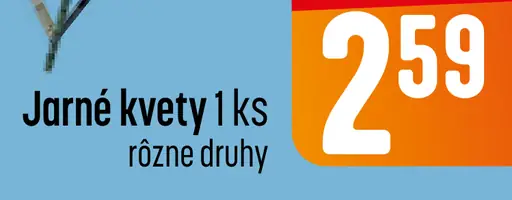 Jarné kvety dekoratívne