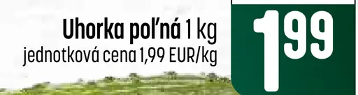 Uhorka poľná