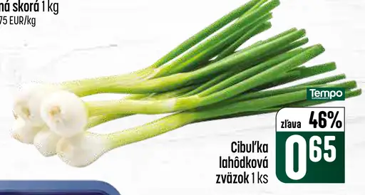 Cibuľka lahôdková zväzok čerstvá